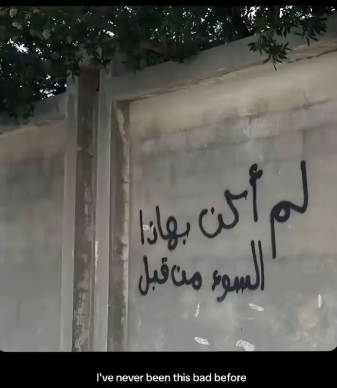 #شتويه 