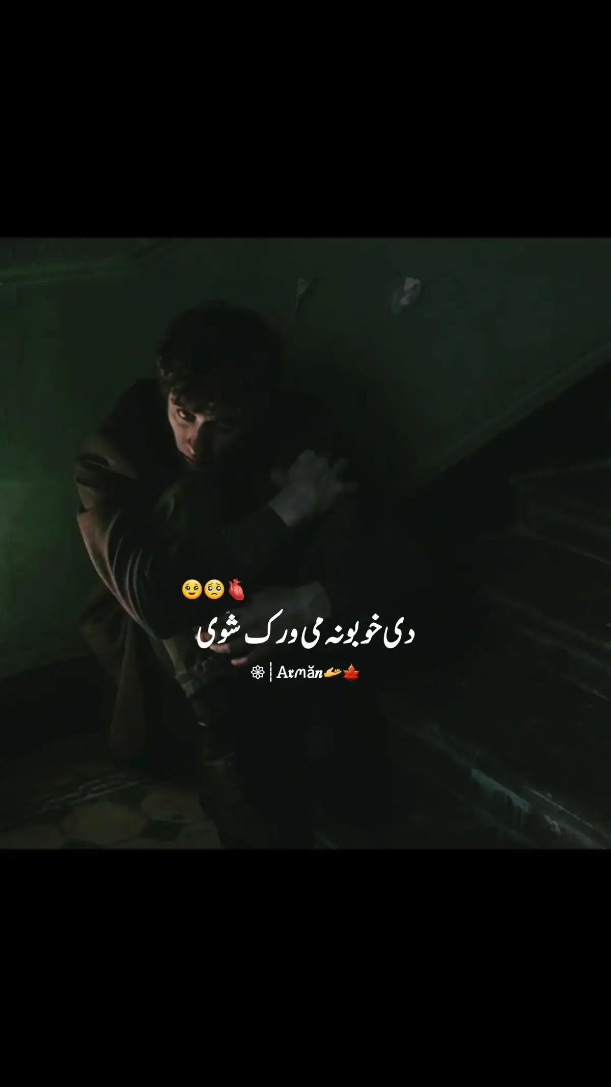 #پشتون_تاجیک_هزاره_ازبک_زنده_باد🇦🇫  #پشتوسندرہ  #virel #this #pktiktokofficial 