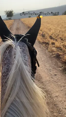 #خيل_وخياله🐎 #equestrian #foryou #viral #fyp #a_de 