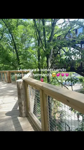 Ya solo faltan tres meses el tiempo pasa volando 🥺💗💗💗💗 primeramente dios todo salga bien te estamos esperando con muchas ansias 💞🥺🫶🏽🫶🏽🫶🏽🐣👧