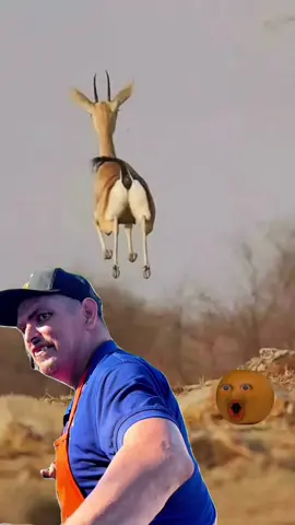 #capcut_edit #capviral #memestiktok #parati 