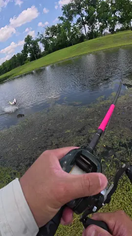 Catch of A LIFETIME At The BEST Possible Timing🤯#fish #bassfishing #bigbass #fishing #bigfish #texas #fisherman 