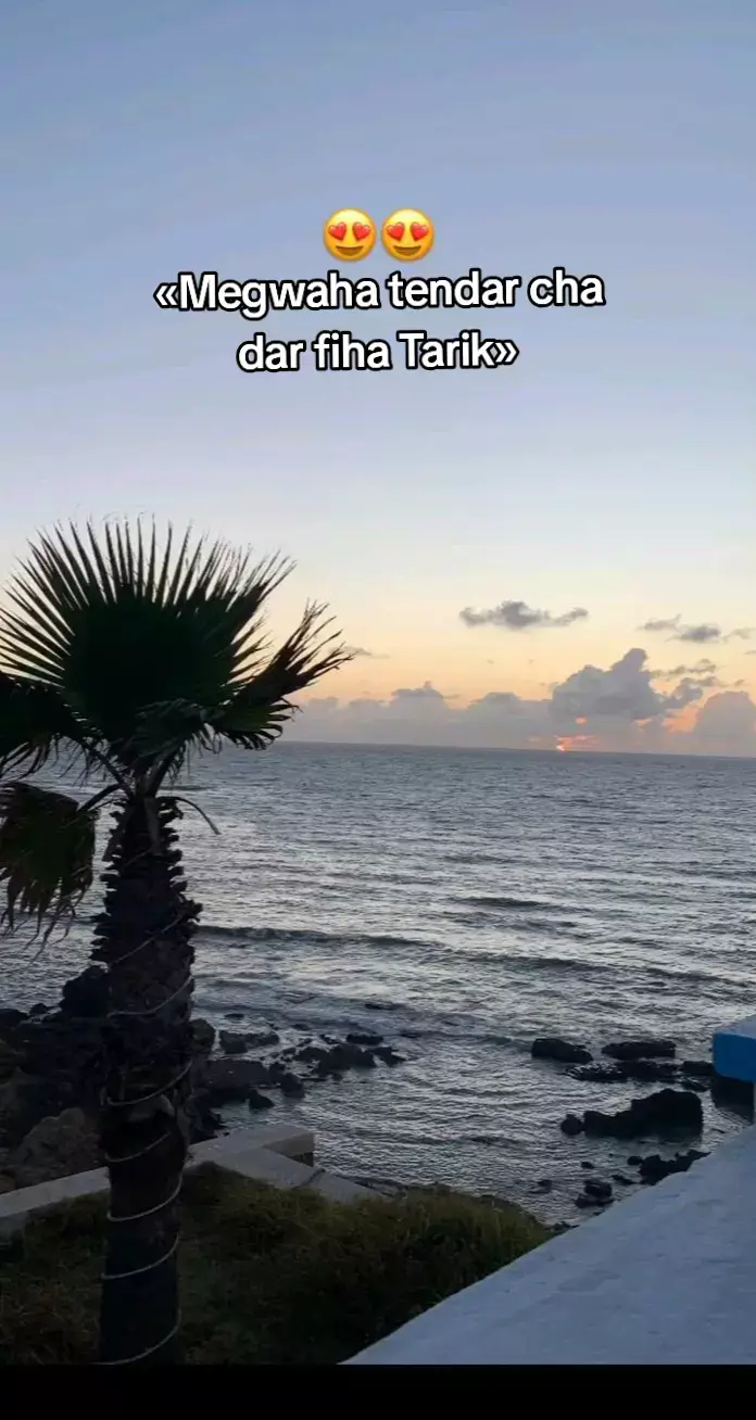 #مشاهدات_تيك_توك #100k #tarik_____16 #foryoupage #viralvideos ##1melionmviews #fyyyyyyyyyyyyyyyy #CapCut #efectoboomerang #ستوريات_انستا 