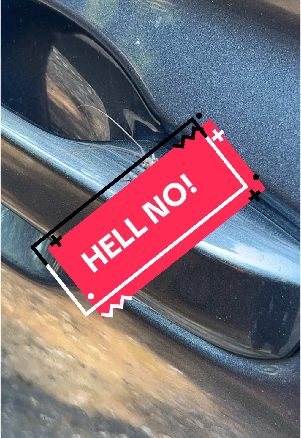 HELL NO! 🫣🫣 #fyp #bugs #whatarethese #getoffmycar 