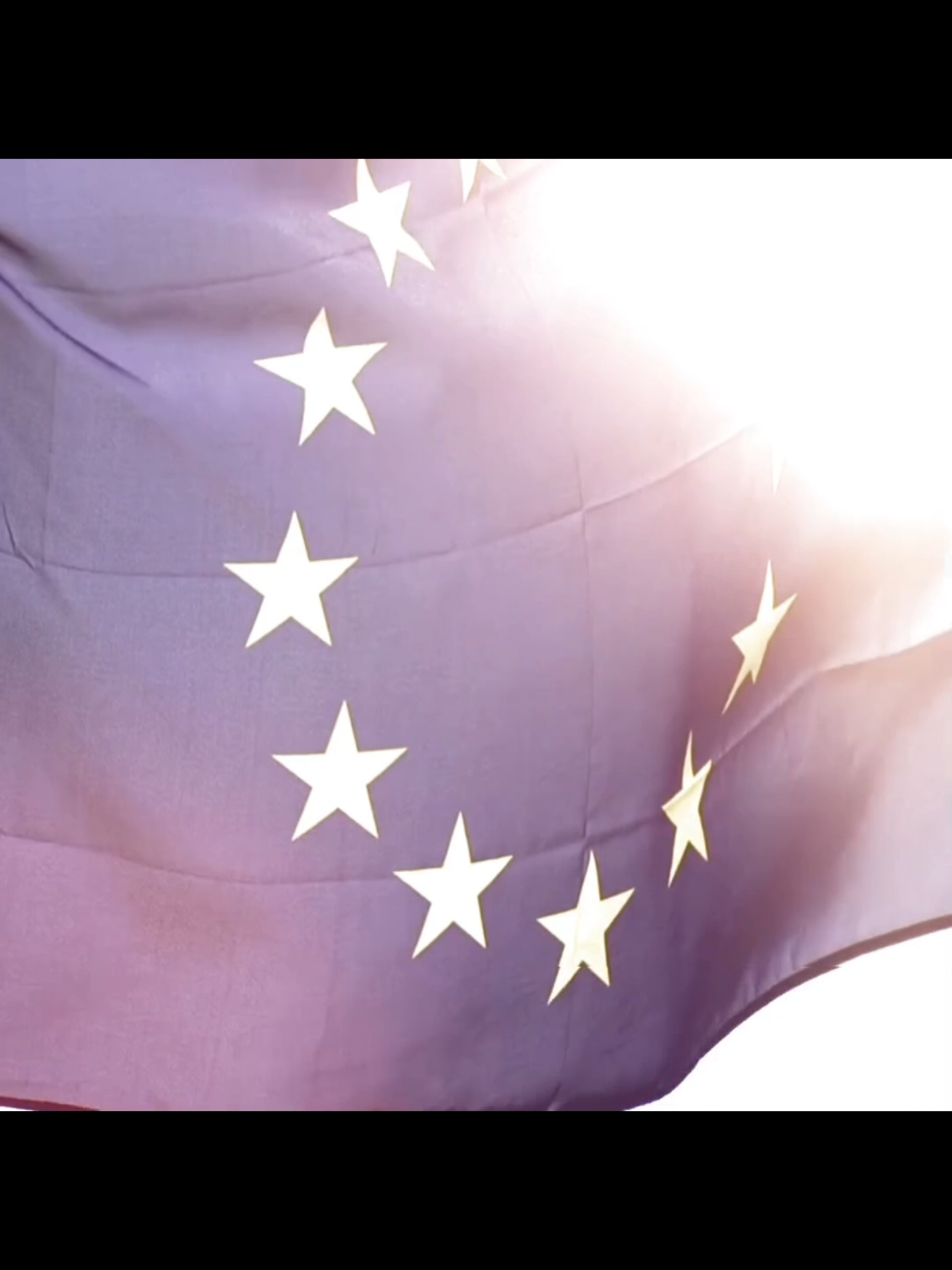 ＵＮＩＴＹ ＩＳ ＳＵＲＶＩＶＡＬ | #europe #europa #europeanunion #eurofederalism 