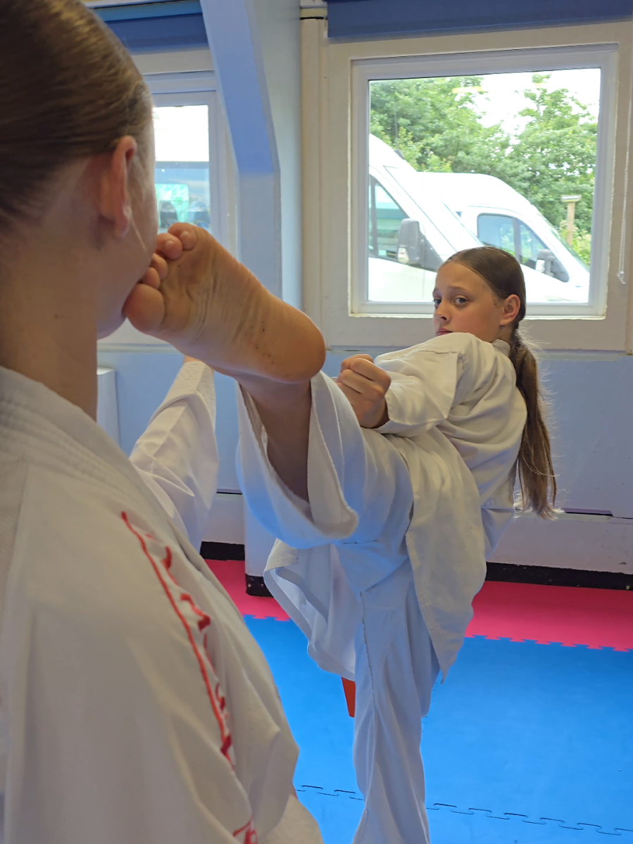 Incredible control, balance and targeting #nkma #fyp #viral #martialarts 