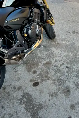 Melodia 🔥🔥🔥 #fyp #fyy #hornet #hornet600 