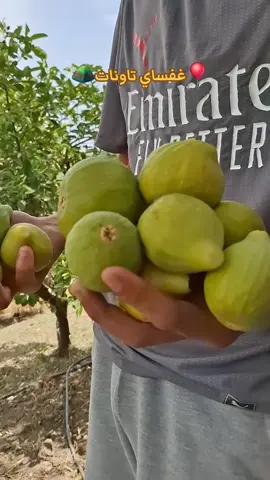 #تاوناتية💗🙋‍♀️🌹افتخر #تاونات_المغرب🇲🇦🇲🇦 #تفرانت #شعب_الصيني_ماله_حل😂😂 #غفساي 