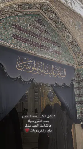 أشهدُ أنّ لك في قلبي حُب لا يعرفَ حجمه إلا ربي وربك ياعلي#عيد#الغدير #ولاية_#علي 