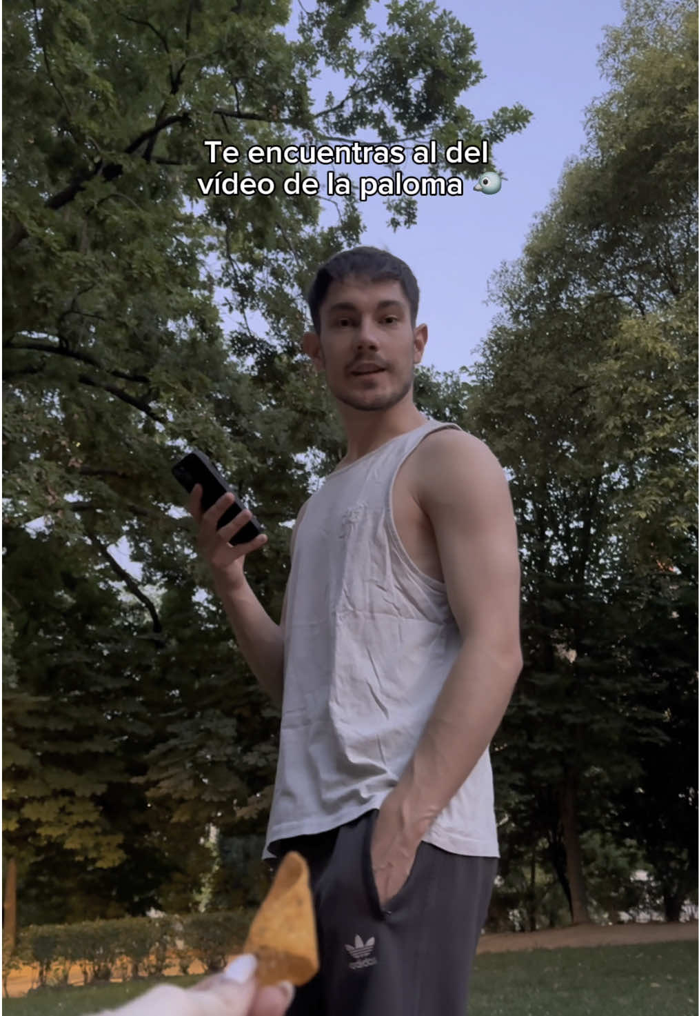 La realidad:  #humorviral #humorpalomas #laspalomas #humorespaña #humoranimales #reelsviral  