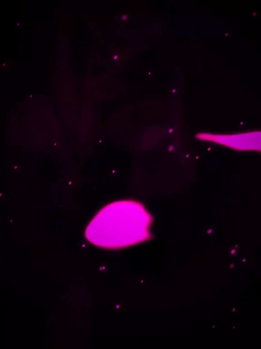 🤩🔥💫| MANDA LINA - SLOWED #songs #magnatosongs #aveeplayer #slowed #headphones #phonk_music #remix #phonk