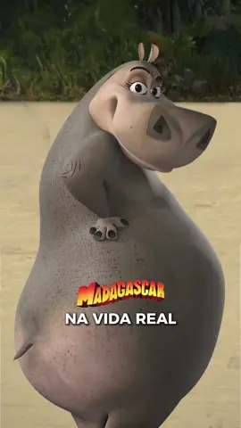 🥰 NOSTALGIA INFINITA! COMO SERIA MADAGASCAR NA VIDA REAL? #pixverse #pixverseai #madagascar #cartoonnetwork #madagascar2 #nickelodeon #nostalgia #nerdsoul 
