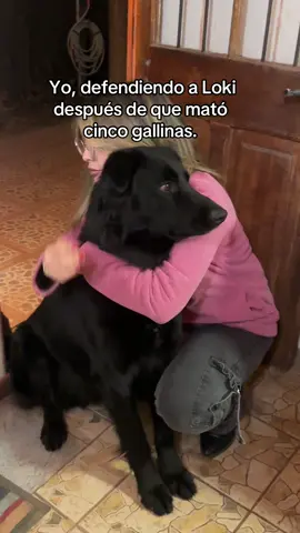 Se porta pésimo ajsjs #likе #paratiiiiiiiiiiiiiiiiiiiiiiiiiiiiiii #fypp #chile #perros 