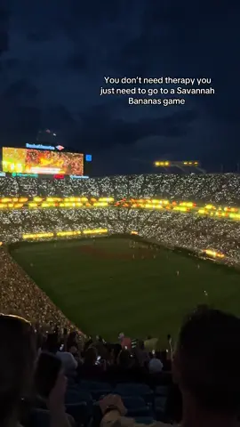 One of the best experiences ever #savannahbananas #baseball #northcarolina #nc #charolettenc #fyp #foryou #zyxcba @thesavbananas 