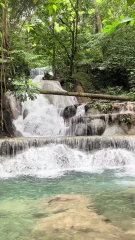 air terjun vera ipi#permandianvera#airterjunvera#storywa#storyinstagram#airterjun#heilingterbaik#alamygindah#morowali_sulteng#estetik#fyp#lewatberandafyp 