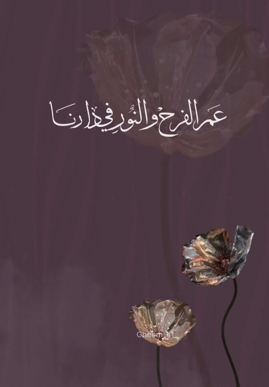 دعوه عقد قران بدون اسماء بدون موسيقى 🤍  ملكوك واكتبوا كتابك 🎶🤍 . . #دعوات_الكترونيه #تصميمي #عقد_قران #عقد_قراني #بدون_موسيقى #بدون_هشتاق #الهاشتاقات_للشيوخ #fy #بدون_اسم #دعوة_زفاف #ادخلي_عمري  #ادخلي_عمري_بخطواتك_اليمين  #زفاف #اكسبلورexplore  #شيلة    #fyp #بدون_اسم  #دعوات_الكترونيه #بدون_موسيقى #عقد_قران #foryou #foryoupage 