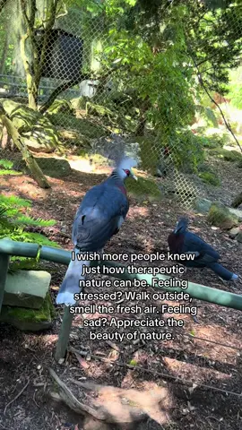 I love animals and i love GOOD zoos too #fy #fyp #tips #fypシ 