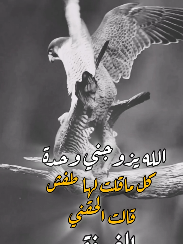 الله يزوجني وحدة عبارات حلوه#عبارات #حلوة #عبارات #اكسبلور #ترند 