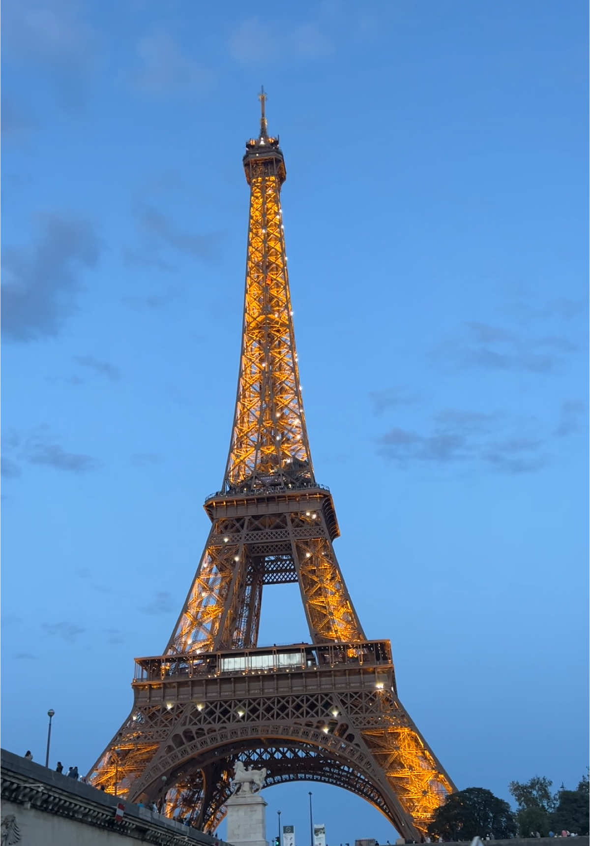 One of the highlights of our trip 🥹 Would highly recommend @Vedettes du pont neuf Vedettes d !!  #paris #paristrip #eurosummer #traveltip #traveltok #eiffeltower 