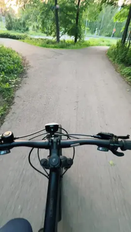 🚴‍♂️ 🌲 🌳 🌲 