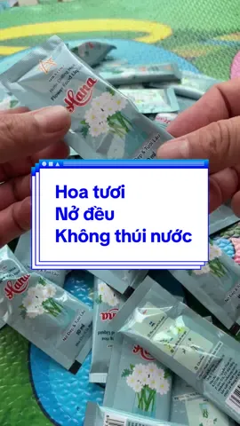 Hộp 50 gói dưỡng hoa tươi lâu 12-15 ngày , nở đều , không thúi gốc #xuhuong #nuocduonghoahana 