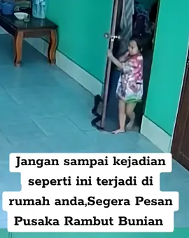 Salah satu kelebihan Pusaka rambut bunian menjaga rumah anda dari masuknya hewan berbisa dan berbahaya seperti ular/lipan dll, info pemesanan silahkan DM #orangbunian #pusakarambutbunianaceh #fyppppppppppppppppppppppp #fyp 