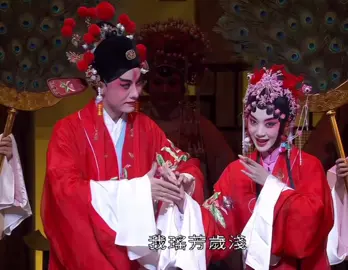 Chinese kun opera  中国昆曲 剧目：南柯梦 演员：单雯/施夏明 剧团：江苏省昆剧团 • • #chineseculture #traditional #fyp #chinese #fyp #chineseculture #fypシ #戏曲 #viral #昆曲 #art #douyin_china 