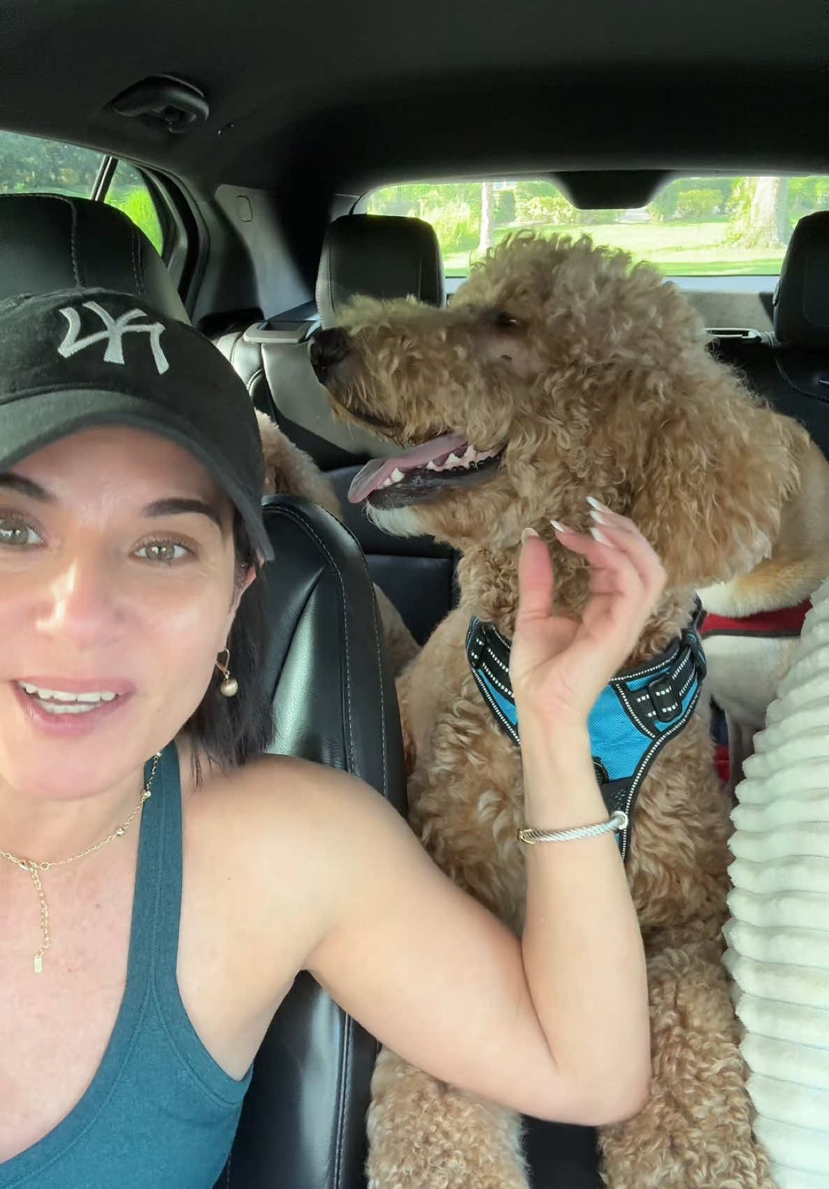 Esto ya se a vuelto tradición 😉🥰@YELANY #adventure #tradition #rutina#everyafternoon #reality#real#Love#animal #dogs #dogsoftiktok #dogslove#kiaraalonso#kooper#kamora#goldendoodle #shibainu #thekfamily 
