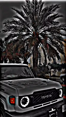 #تصميم_خاص_تايوتا_شاص❤️‍🔥✈️ #عشاق_الشاصصص✌ #السعوديه_الرياض_حايل_جده_القصيم_بريده #ليبيا_طرابلس_مصر_تونس_المغرب_الخليج #عشاق_الشاص_ملوك_الصحراء🖤✌🏿 #سيناء_بدوسيناء_بدومصر🇪🇬_ #explore #تصميم_فيديوهات🎶🎤🎬تصميمي🔥 #تايوتا_شعار_لا_يعرف_قانون_✈ 