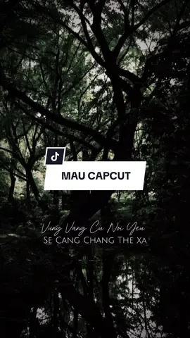 #CapCut say sóng remix.. #wseal #ccvn0066 