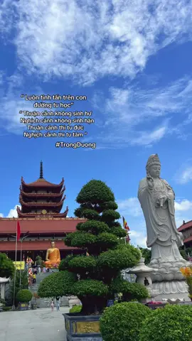 “Luôn tinh tấn trên con đường tu học”, “ Thuận cảnh không sinh hư, Nghịch cảnh không sinh hận, Thuận cảnh thì tu đức,Nghịch cảnh thì tu tâm”#trongduong #phantrongduong33 #xuhuongtiktok #fyp 