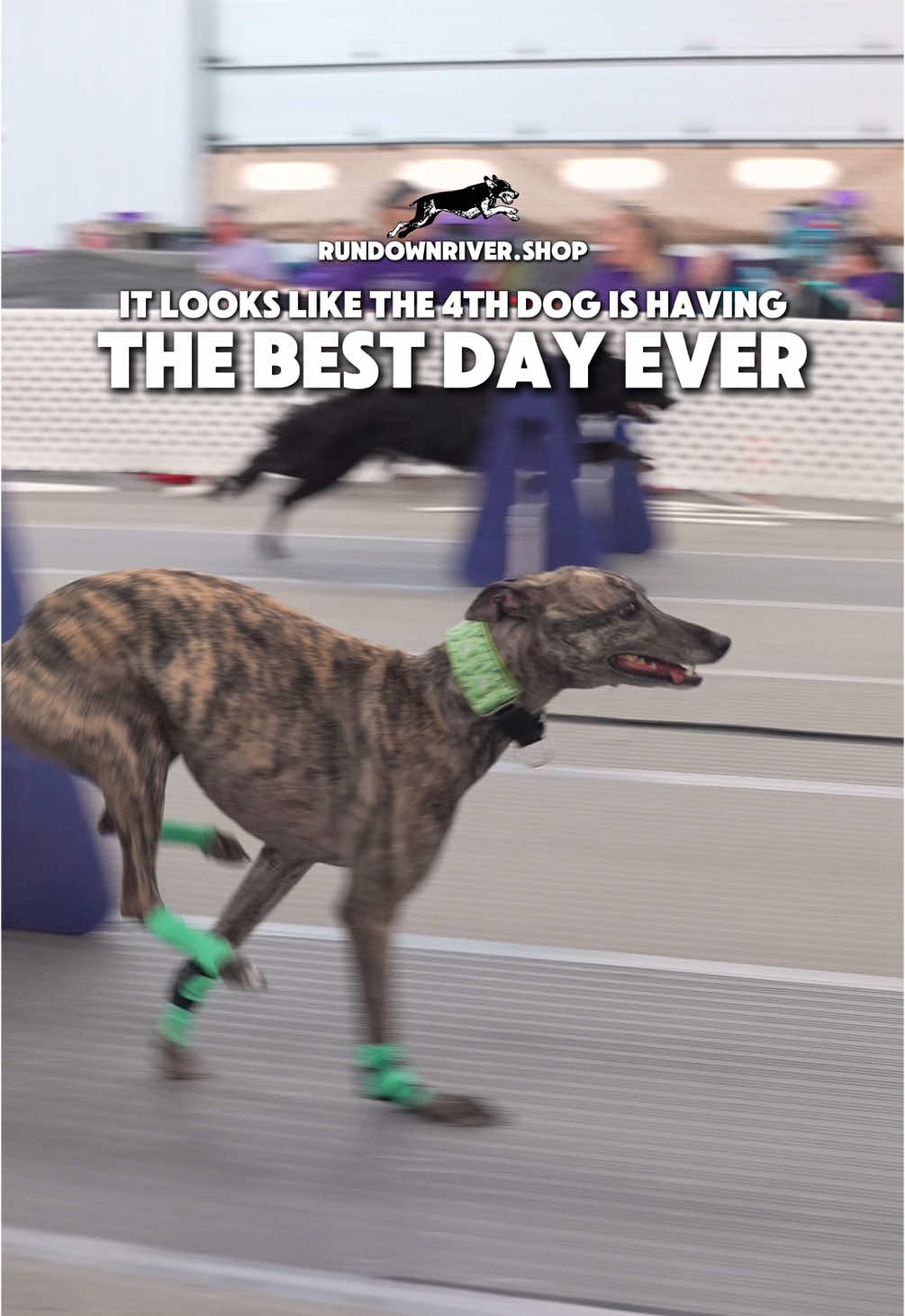 The best day ever 