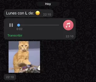 Lunes con L de: La otra noche te espere bajo la lluvia dos horas 😞 #paratiiiiiiiiiiiiiiiiiiiiiiiiiiiiiii #paradedicar #lunesconlde #lunesdetiktok #foryoupage #temon #fypシ゚ #dedicarvideos♡ #teamo #novios #musica #tiktokparadedicar #estadosparawhatsapp #bachata #Salsa #Cumbia #merengue #rock #rocklatino #abuelosdelanada #viejaguardia #argentina #año80 #milhoras #laotranocheteesperebajolalluvia2horas #ecuador #mexico #ecuador #latinoamerica #rockmusic #💃 #🕺🏻 #🎶 #😞 #tristeza #ex #recuerdos #tiktokponemeenparati #spotify #danii_26j 