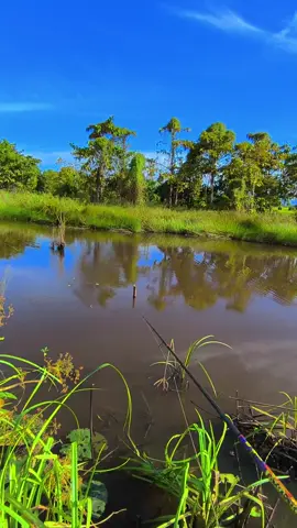 #fyp #fypシ゚ #mancing #castingfishing🎣 #