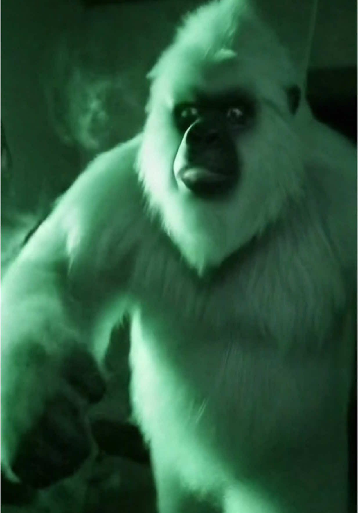 “I ain’t scared of ghosts.. Ghosts are scared of me!” #bigfoot #bigfootisreal #Vlog #usa🇺🇸 #Outdoors #bigfootvlog 