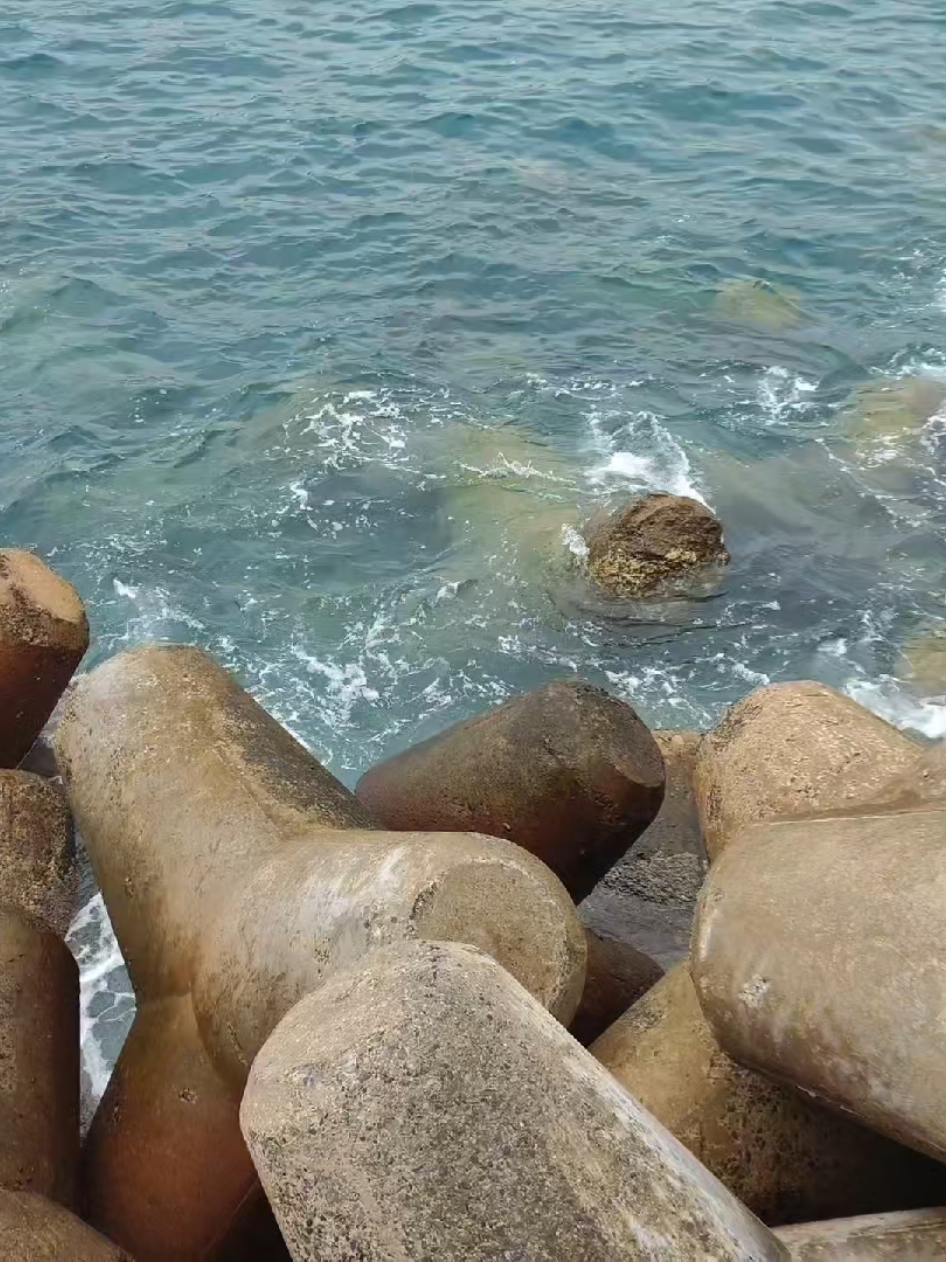 📍보목포구 #korea #jeju 