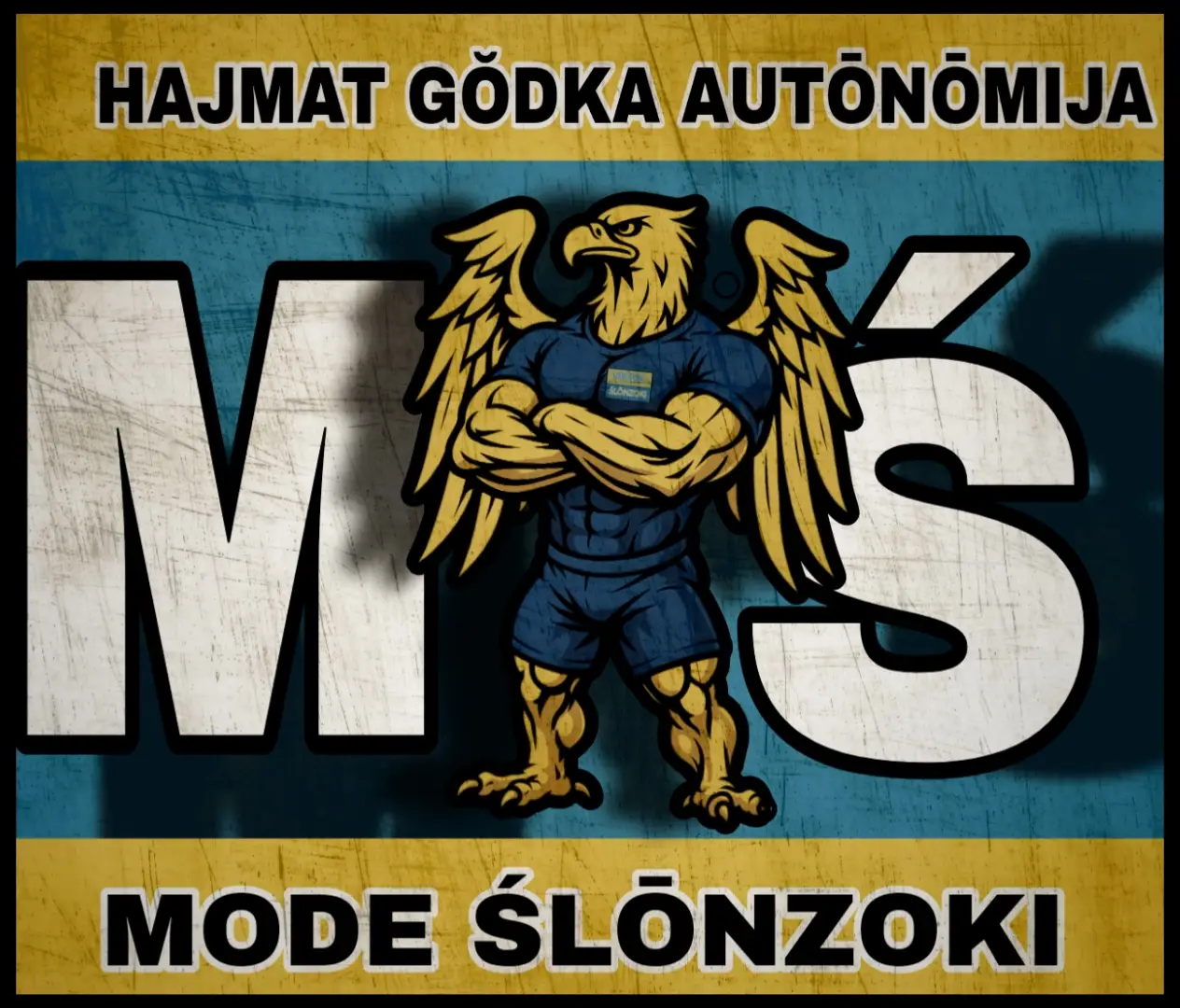 #foruyou #autonomia #gŏdka #hajmat #działaj #dlaciebie #katowice #górnyśląsk #modeślonzoki #dc #fyp 