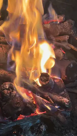 Một ánh trăng nghiêng một khung đàn  lặng lẽ ngân vang khúc mộng vàng tri kỷ phương nào người vẫn nhớ chén trà còn ấm giữa thu sang  🍀🍀🍀