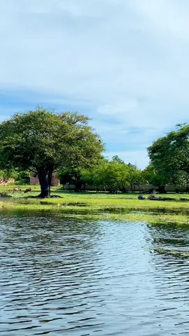 tenang dan indah #pinangbanjar #gelumbang #wisata #palembang #fyp 