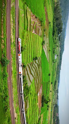 Pesona Pasiraman Lor #videokeretaapi #keretaapiindonesia #pasiramanlor #banyumas #banyumasstory #djindonesia #djimini4pro #aerial @KAI121 