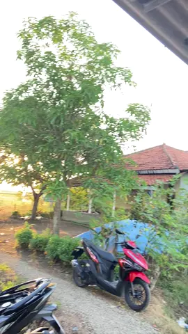 asik asik#oemlook #varioledold #varioplatkt #varionistyindonesia 