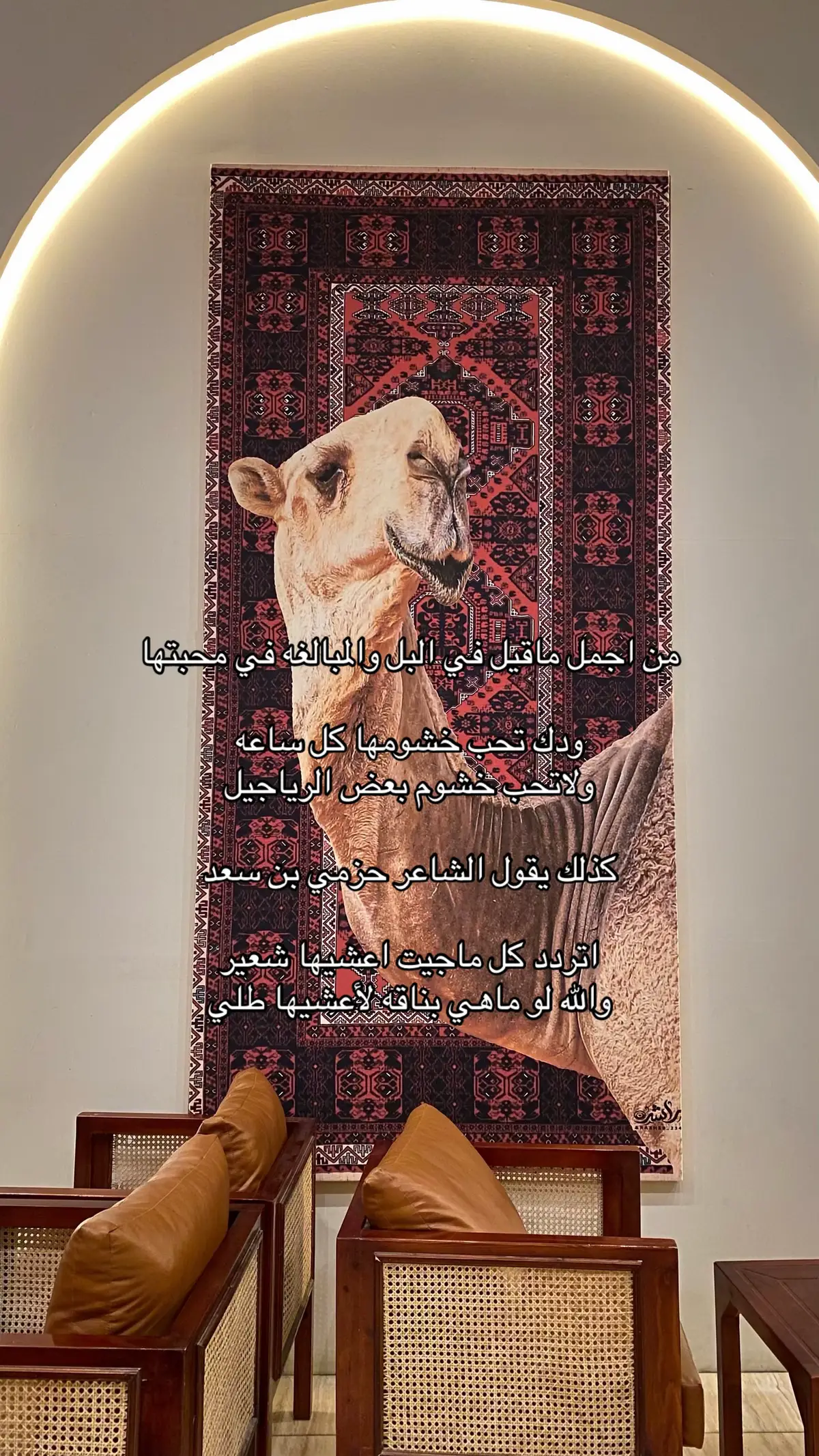 ولاتحب خشوم بعض الرياجيل | 👌🏻. #اكسبلور #حزمي_بن_سعد #الابل #fyp #fypシ゚ #fyppppppppppppppppppppppp #videoviral #شعروقصايد 