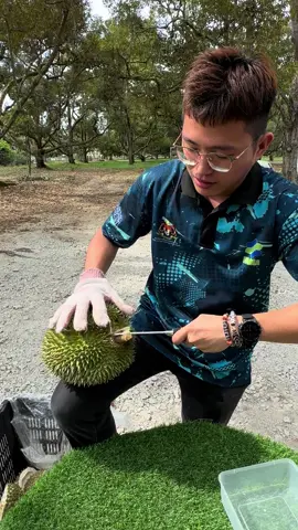 Unboxing Durian Mas Johor #durianlover #Malaccadurianheng #viral #durianheng #bestfoodmalaysia #fyp 