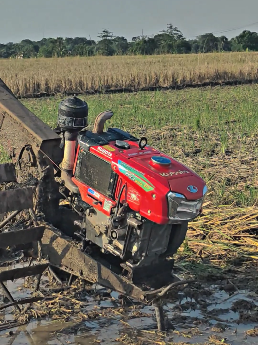 ada air kita tempur, gak ada air kita tidur🚀#kubota2s_rd85 #petanimilenial #traktormaniaindonesia #petaniindonesia🇮🇩🇮🇩🇮🇩🌿🌿 #traktorsawah #petanimuda #kubota #quicktraktorg1000 