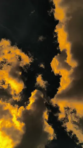 إذا لم تقابل شخصا يفهم الدين ، آيل أن تقابل یونا ما شخصا يمكنه تحسین نفسك 