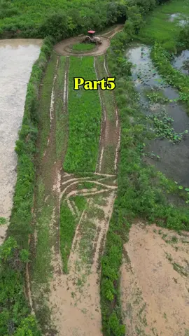 Sister admitted that she had stolen my money and what are you going to do now Sue I she said I smiled and left the next day when my lawyer called her as soon as I walked into my apartment something felt wrong everything looked normal my furniture was in its place my dishes were right where I left them and my cat Luna came running up to me meowing like crazy.#reddit #redditstories #redditreadings 