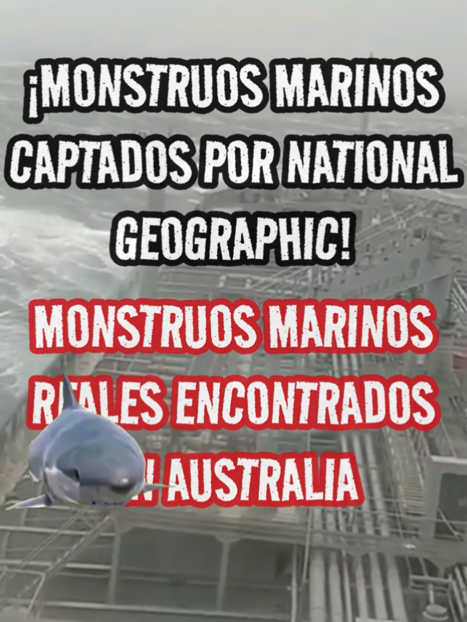 ¡MONSTRUOS MARINOS CAPTADOS POR NATIONAL GEOGRAPHIC! Monstruos reales encontrados en Australia #monstruosmarinos #nationalgeographic #parati #sea #monstruoso #monster #oceano #historiasdetiktok #terror #miedo #horror 