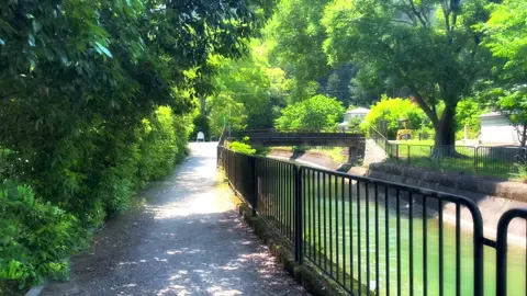 やりたいことが見つからない#帰り道は遠回りしたくなる #田舎#田舎の風景#夏