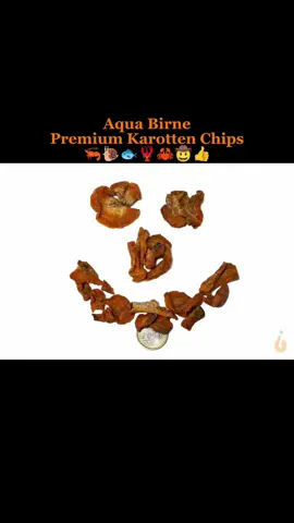 Aqua Birne - Premium Karotten Chips | Einzelfuttermittel - Geeignet für Garnelen & Schnecken & Krebse & Krabben - Reich an natürlichen Vitaminen und Mineralstoffen - Für alle Wirbellosen - 100% Natur in höchster Qualität Premium Karotten Chips - der perfekte Snack für Ihre Wirbellosen und anderen Aquarienbewohner! Sie suchen nach einem natürlichen Leckerbissen für Ihre Lieblinge im Aquarium? Dann sind unsere Premium Karotten Chips genau das Richtige. Die Chips bestehen aus 100 % schonend getrockneter Karotte - ohne Zusätze, Füllstoffe oder künstliche Bestandteile. Sie eignen sich ideal als pflanzliche Ergänzung zur vielfältigen Fütterung aller Wirbellosen im Aquarium. Mehr als nur Futter für Garnelen, Schnecken und andere Aquariumtiere: Die Premium Karotten Chips sind nicht nur ein super Garnelenfutter / Schneckenfutter, sie können noch viel mehr! In meiner Zuchtanlage werden alle (Zwerggarnelen, Aquariumschnecken, Krebse und Krabben) damit gefüttert. Fische wie zum Beispiel Welse / Saugwelse fressen auch gerne die Chips, sobald diese im Aquarium den Boden erreichen. Krebse und Zwergflusskrebse, wie die CPO, erfreuen sich ebenfalls an den feinen Stückchen und schnappen sich Ihren Teil. Warum Karotten Chips als Garnelenfutter? Karotten enthalten von Natur aus eine Vielzahl an Vitaminen und Mineralstoffen - auch im Aquarium eine beliebte pflanzliche Futterergänzung. Die orangefarbenen Wurzeln enthalten von Natur aus wichtiges Vitamin A (in Form von Beta-Carotin) sowie Vitamin C, Vitamin E und mehrere B-Vitamine. Dazu liefern sie Mineralstoffe wie Kalium, Calcium / Kalzium, Magnesium, Eisen und Zink. --- Das freut auch meine Lieblinge in meiner Aquarium Zuchtanlage: Zwerggarnelen / Garnelen, Aquariumschnecken / Schnecken, Krebse, Krabben, Wasserpflanzen, Moose uvm. 🦐🌿 Aqua Birne Shop: Aqua - Birne . de 🐌🦞 ▶️ Folge mir gerne für mehr! Aquaristische Grüße Daniel Birnbaum, die Aqua Birne 🍐🤠👍 . . . #Aquarium #aquariumhobby #garnelen #garnelenaquarium #garnelenbecken #nanocube #nanoaquarium #neocaridina #caridina #aquascaping #garnelenzucht #garnelenfutter #schneckenfutter #zwerggarnelen #aquaristik #fische 