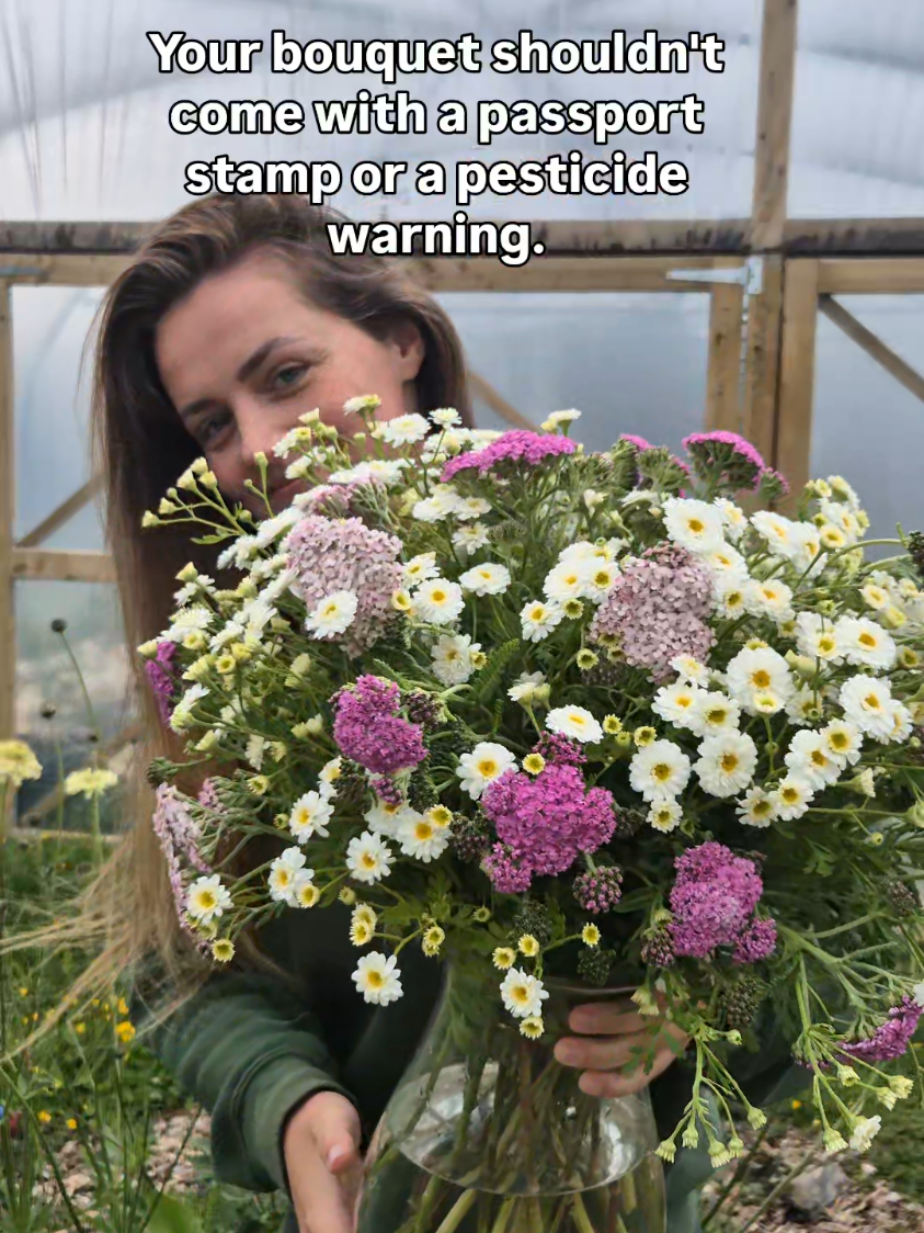 No flights. No chemicals. Just seasonal, scented blooms 💐